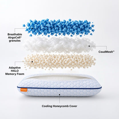 Set of 2 Hybrid Pillow